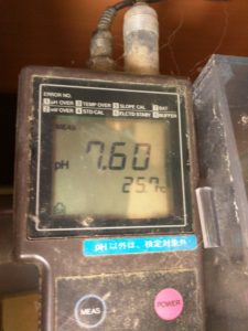 コリドラスパンダが繁殖している水温 水質