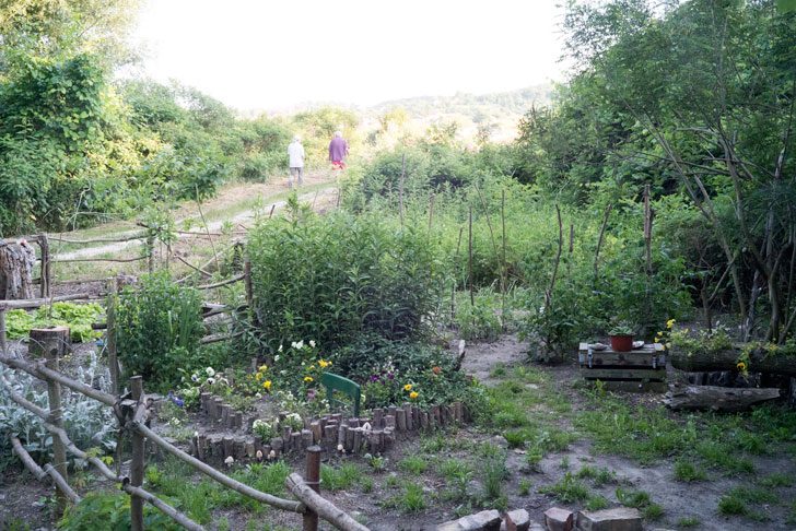 別荘の家庭菜園